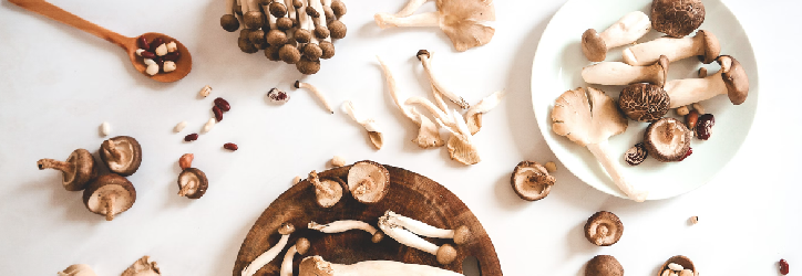 The Ins & Outs of Mushroom Products