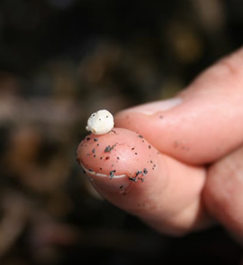 microplastics, Tiny plastics pose huge problems