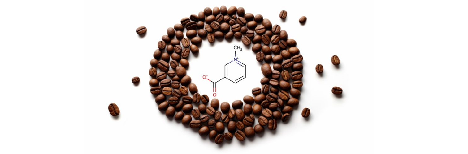 Brewing Longevity: Coffee's Health Benefits