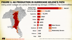 hurricane helene, Witnessing Helene&#8217;s Wrath