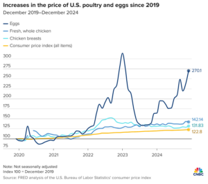 egg prices, Avian Flu Drives Soaring Egg Prices