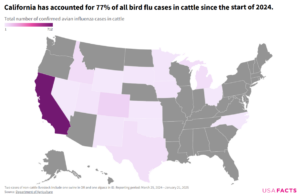 egg prices, Avian Flu Drives Soaring Egg Prices