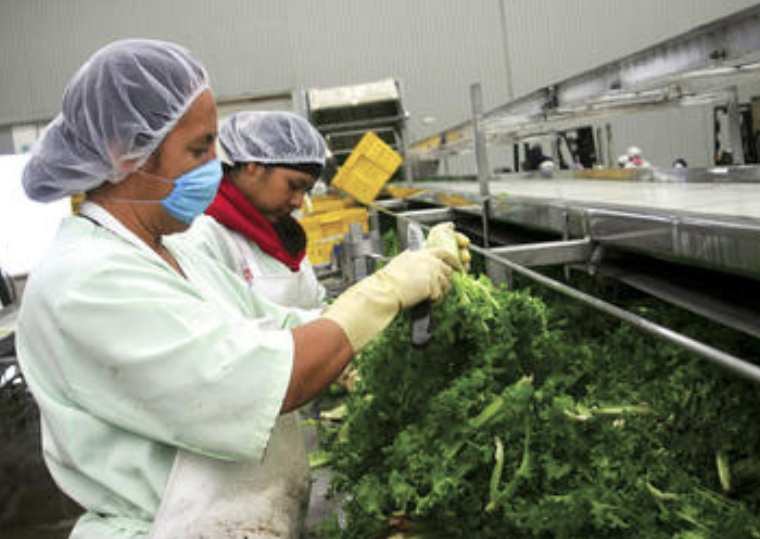 kirkland signature, What&#8217;s in Costco&#8217;s Secret Sauce?