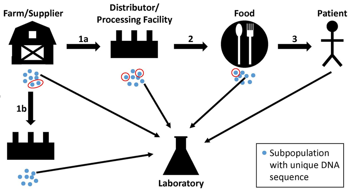 food safety, Tech&#8217;s Essential Role in Food Safety