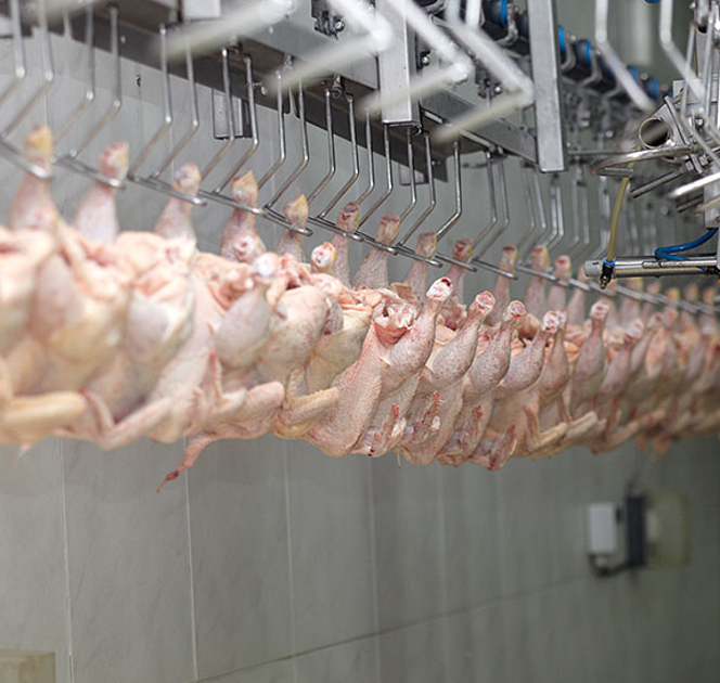 food safety, Tech&#8217;s Essential Role in Food Safety