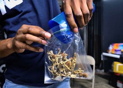 magic mushrooms, Do Magic Mushrooms Prevent Aging?