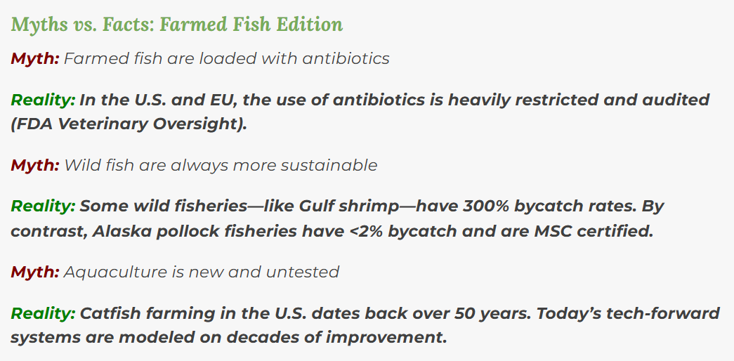 fishing, Can We Save the Seas by Farming Fish?