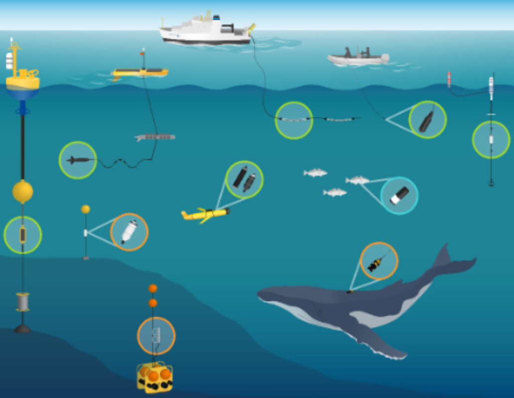 fishing, Can We Save the Seas by Farming Fish?