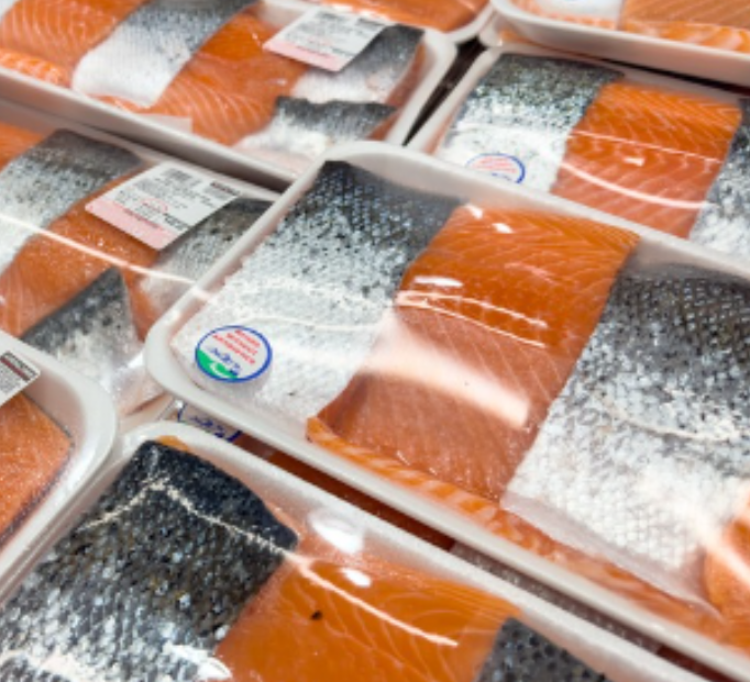 fishing, Can We Save the Seas by Farming Fish?