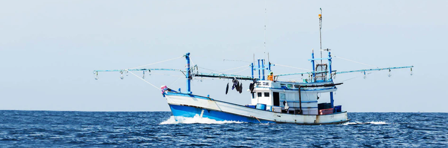 Can We Save the Seas by Farming Fish?