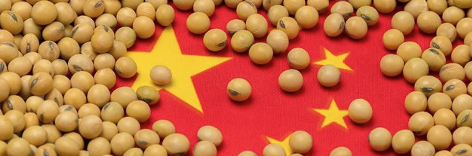 Redrawing the Global Soybean Map