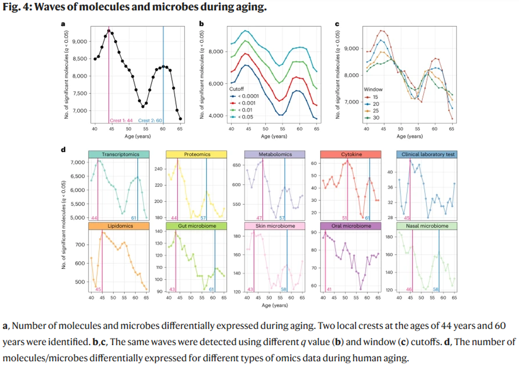 aging, Aging: Smooth Climb&#8230;or Rapid Ascent?