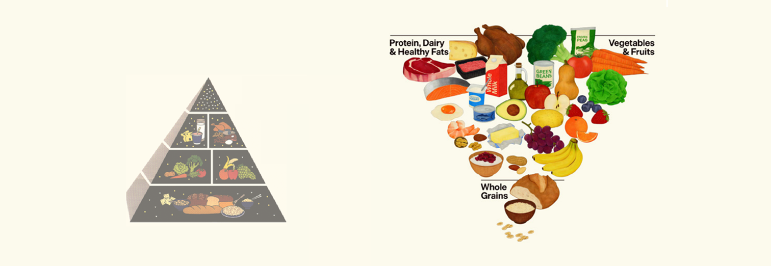 From Guidelines to Groceries: The Real Food Reset