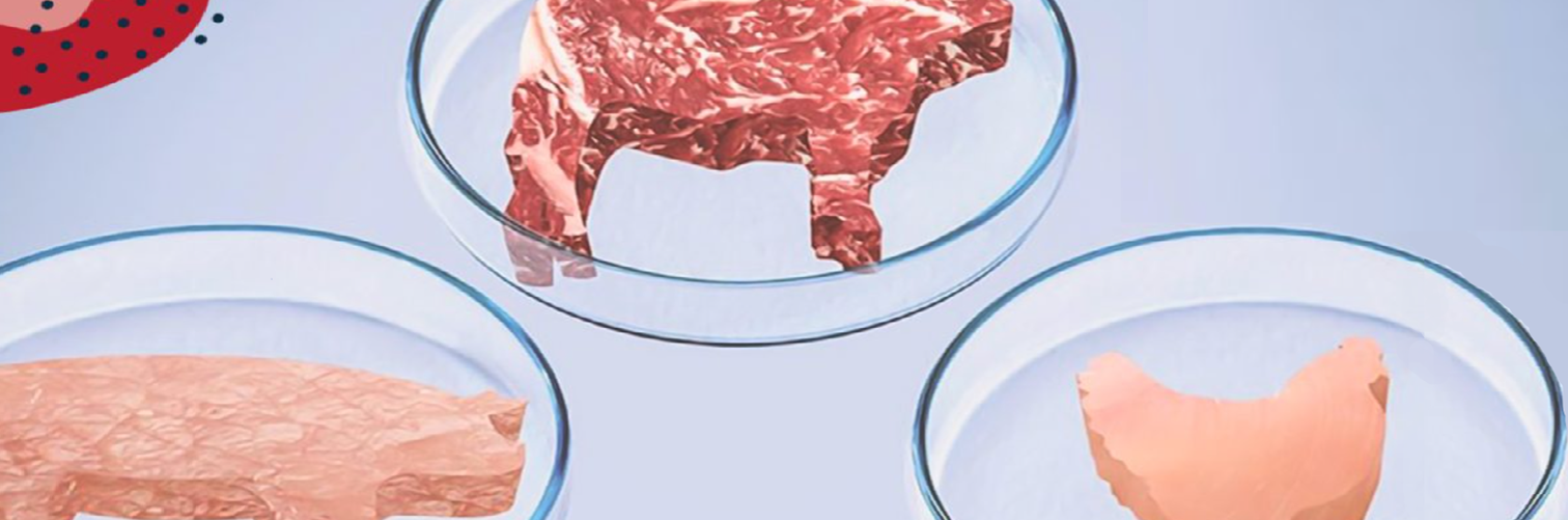 Why Isn’t Cultivated Meat on Our Dinner Plates?