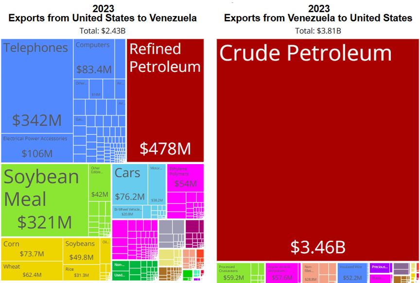 Venezuela crisis, Venezuela: A Study in Economic Mismanagement