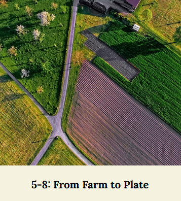 lesson plans, Looking for fun & free lesson plans?