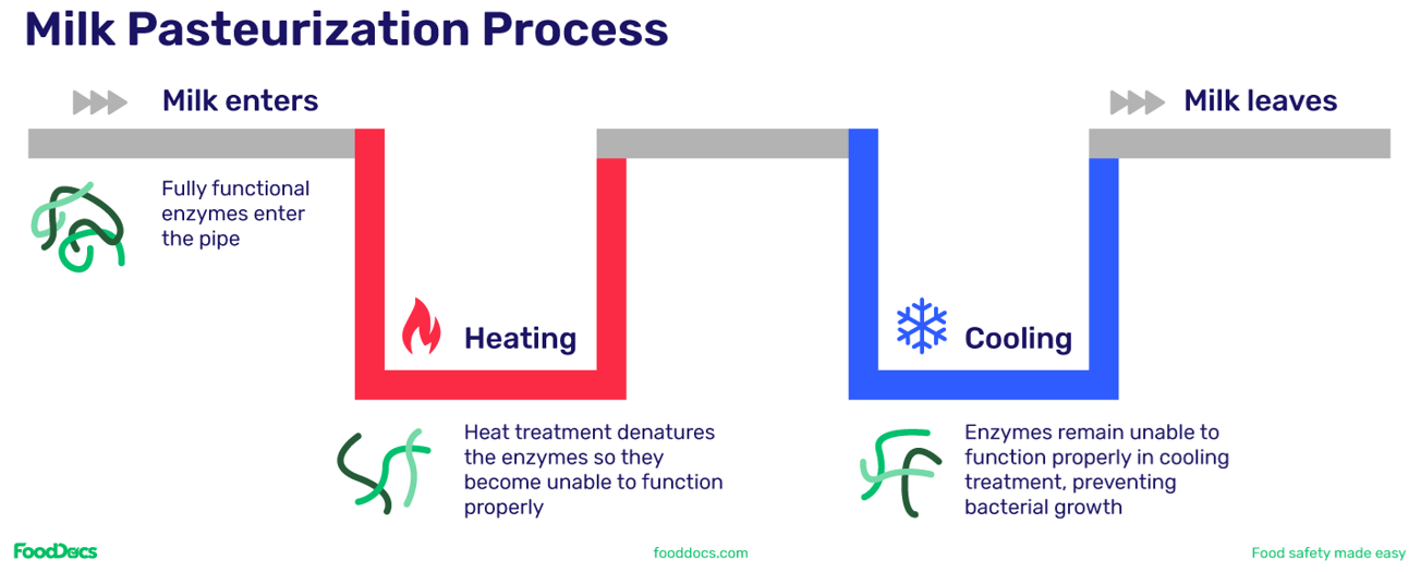 raw milk, Raw Milk: Wellness Culture vs. Food Safety