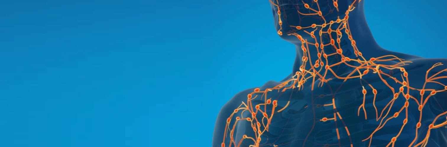 What is the Lymphatic System?
