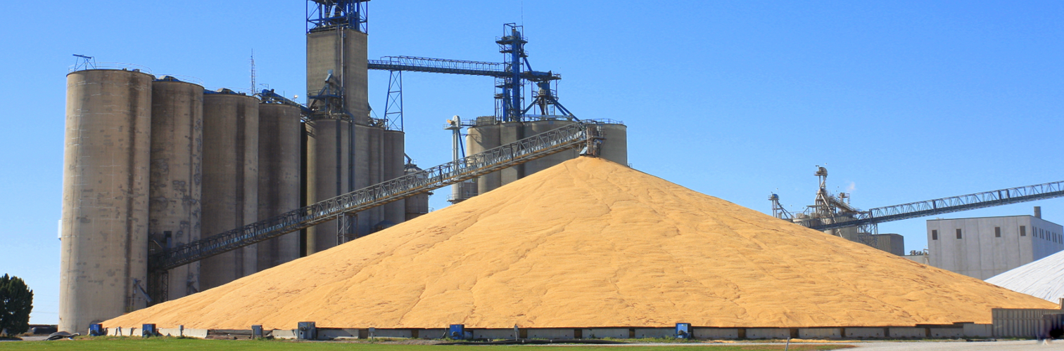 Fun with Corn! The Shocking Scale of Global Crops