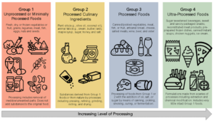ultra processed foods, Processed Foods: Healthy or Harmful?