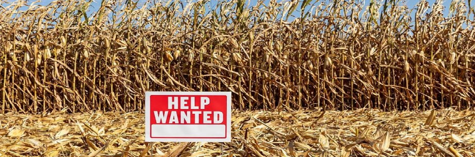 Farm Shortages Continue as Job Numbers Drop