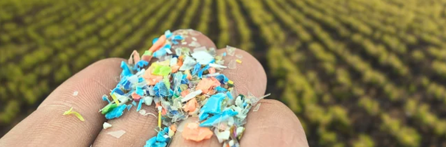 Pesticides vs. Microplastics