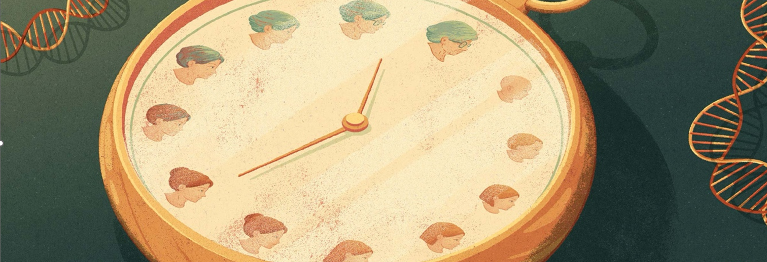 What’s the Best Diet for Healthy Aging?