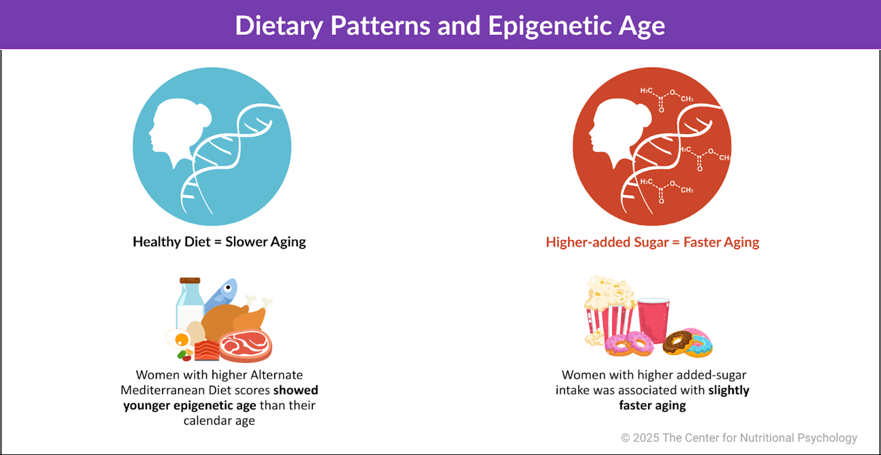 healthy diet, What’s the Best Diet for Healthy Aging?