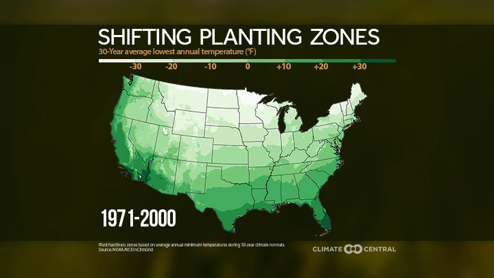 GMO crops, How Can Biotech Improve our Food System?