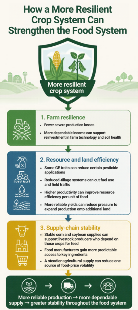 GMO crops, How Can Biotech Improve our Food System?