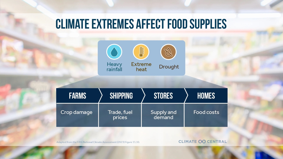 GMO crops, How Can Biotech Improve our Food System?